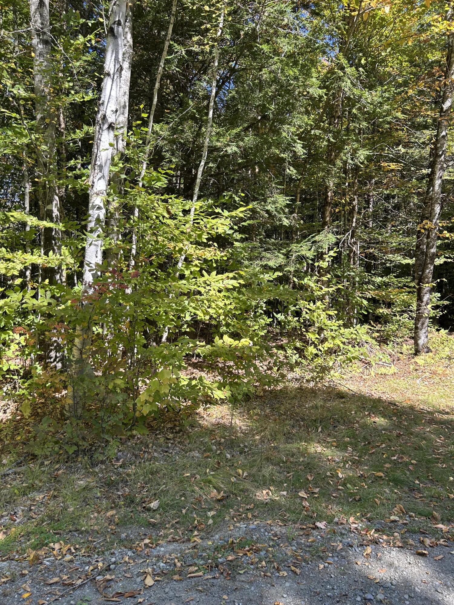 M6-l16-12-3 Beaver Brook Road Dover Foxcroft, ME 04426 - Photo 2 of 11 IMG_1235