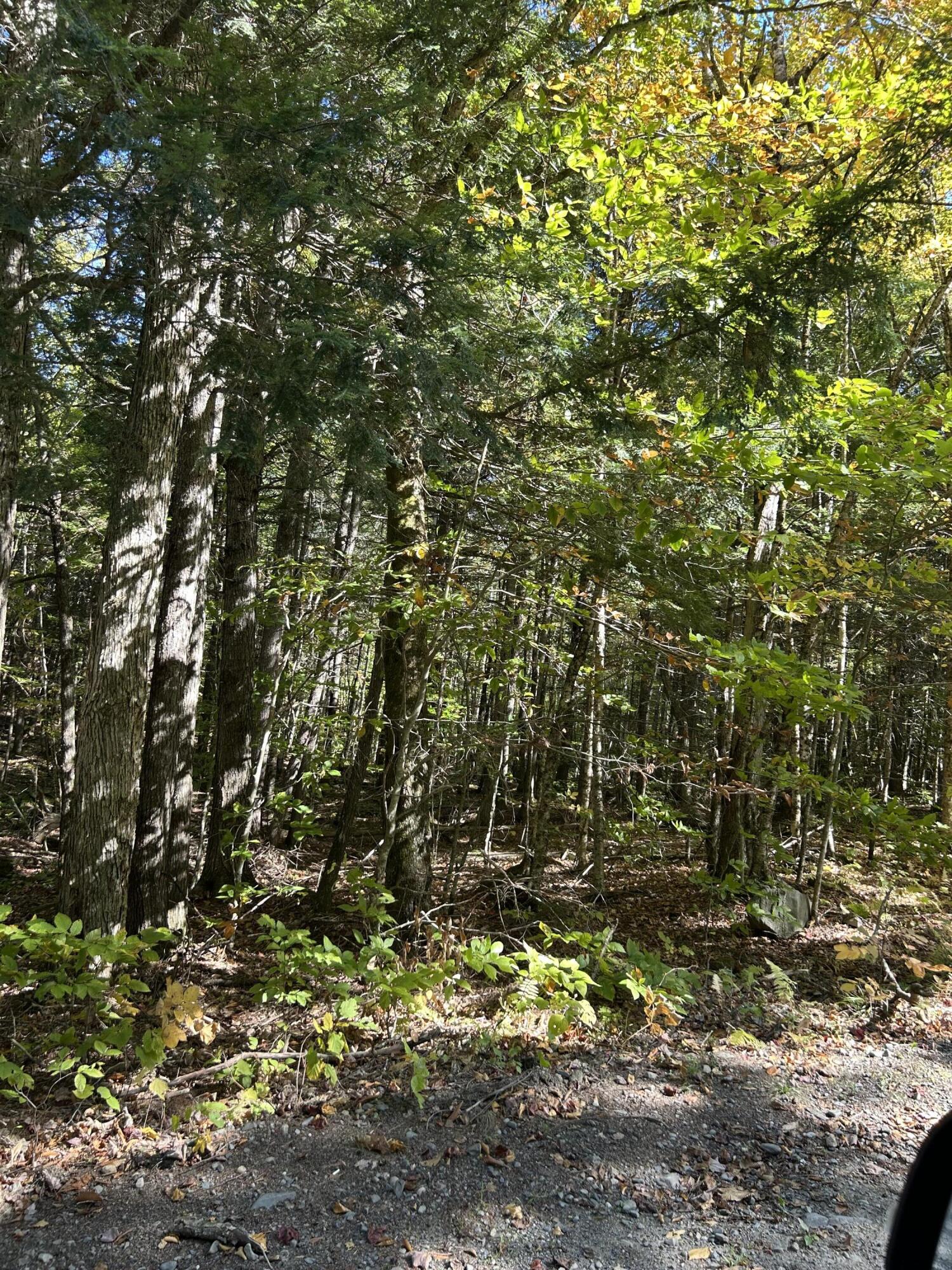 M6-l16-12-3 Beaver Brook Road Dover Foxcroft, ME 04426 - Photo 3 of 11 IMG_1232