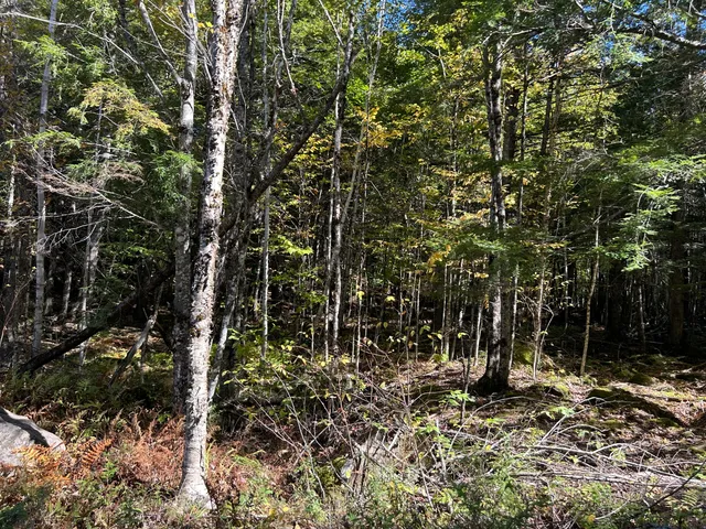 $149,900 | M6-l16-12-3 Beaver Brook Road, Dover Foxcroft, ME 04426