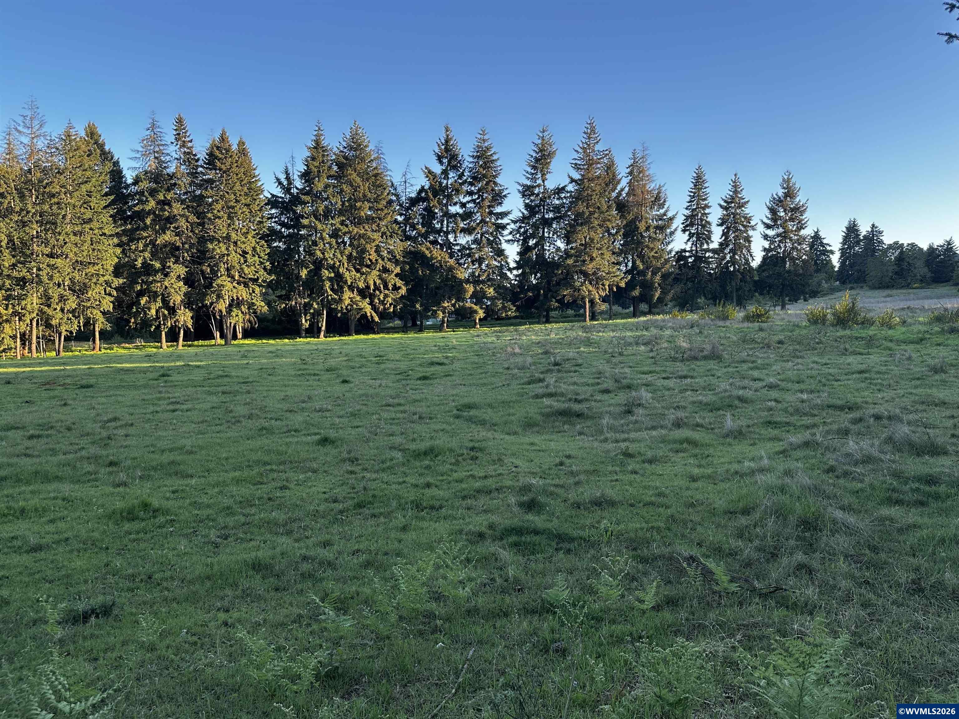 201552 Orchard Tract Road Monroe, OR 97456 - Photo 8 of 19