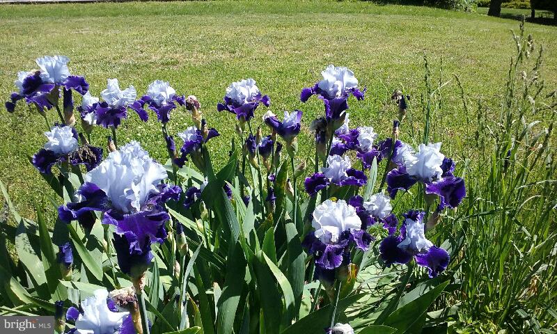 157 Locust Grove Road Dillsburg, PA 17019 - Photo 41 of 41 Gallery Image 41