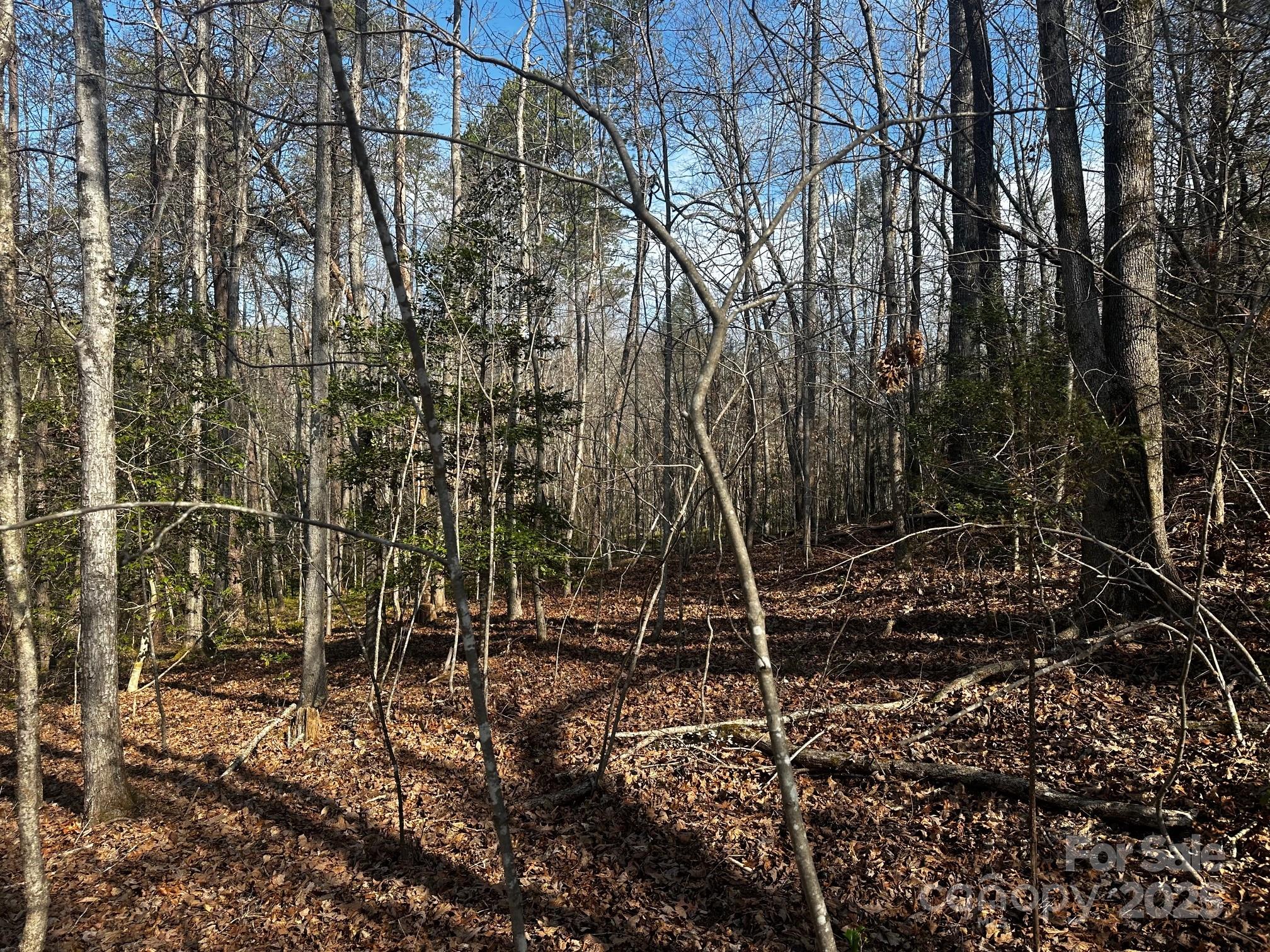 0 Grassy Knob Road Rutherfordton, NC 28139 - Photo 14 of 15