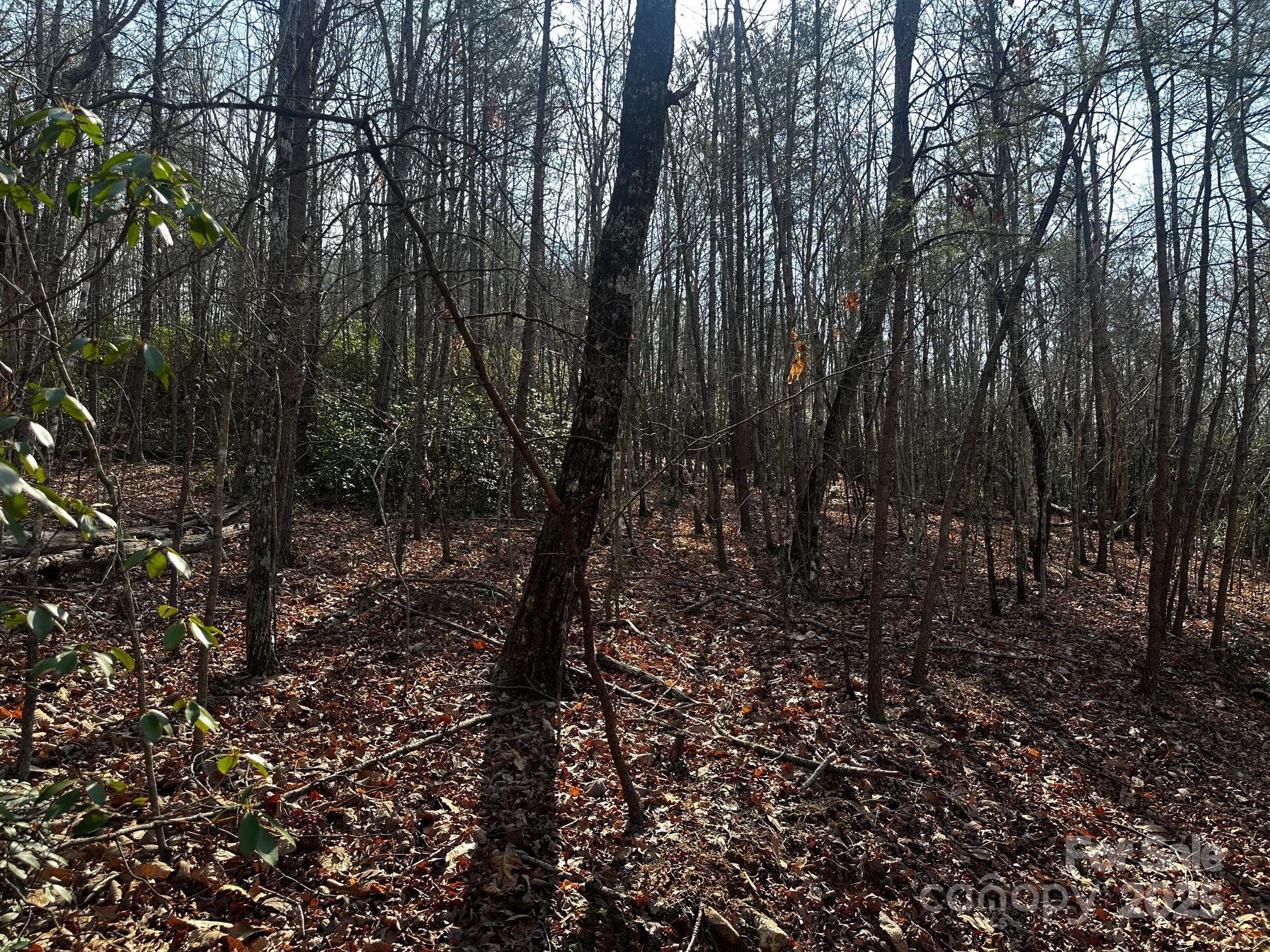 0 Grassy Knob Road Rutherfordton, NC 28139 - Photo 15 of 15