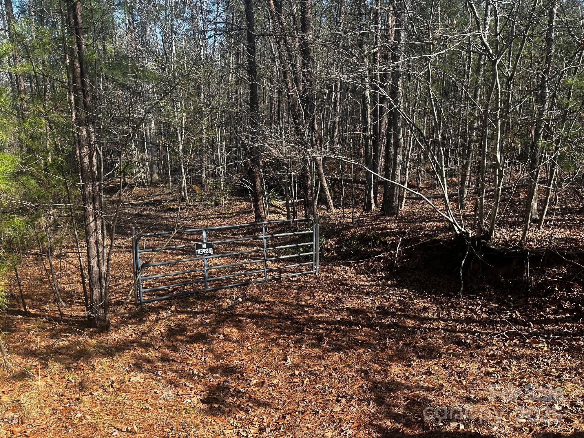 0 Grassy Knob Road Rutherfordton, NC 28139 - Photo 2 of 15