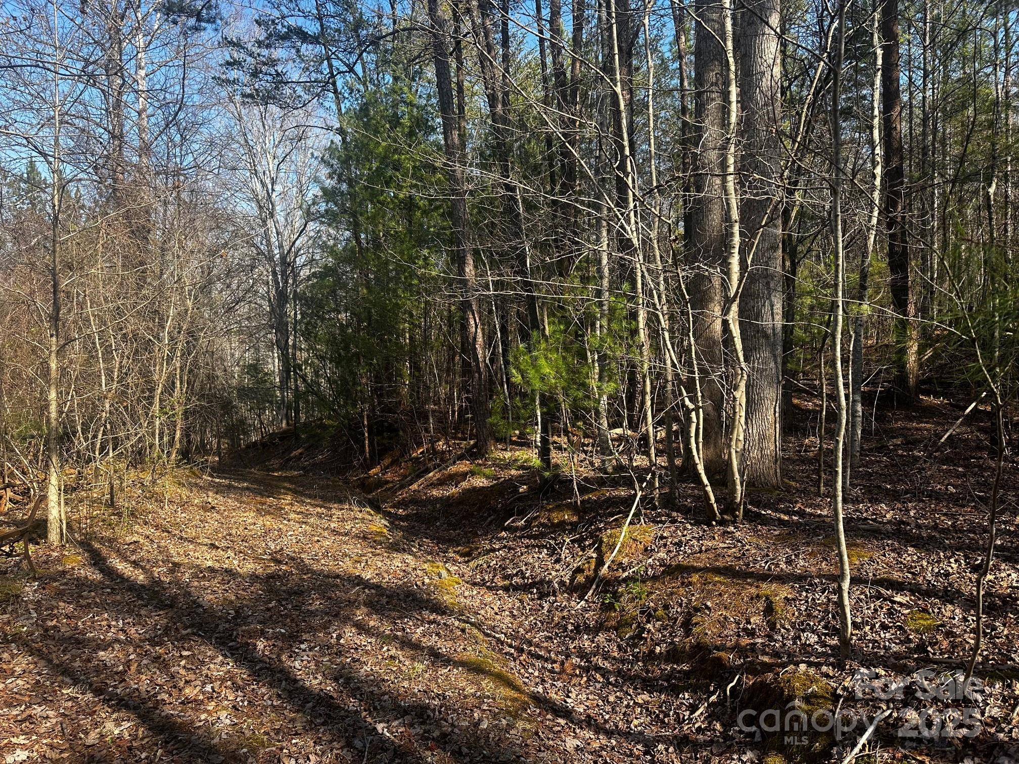 0 Grassy Knob Road Rutherfordton, NC 28139 - Photo 4 of 15