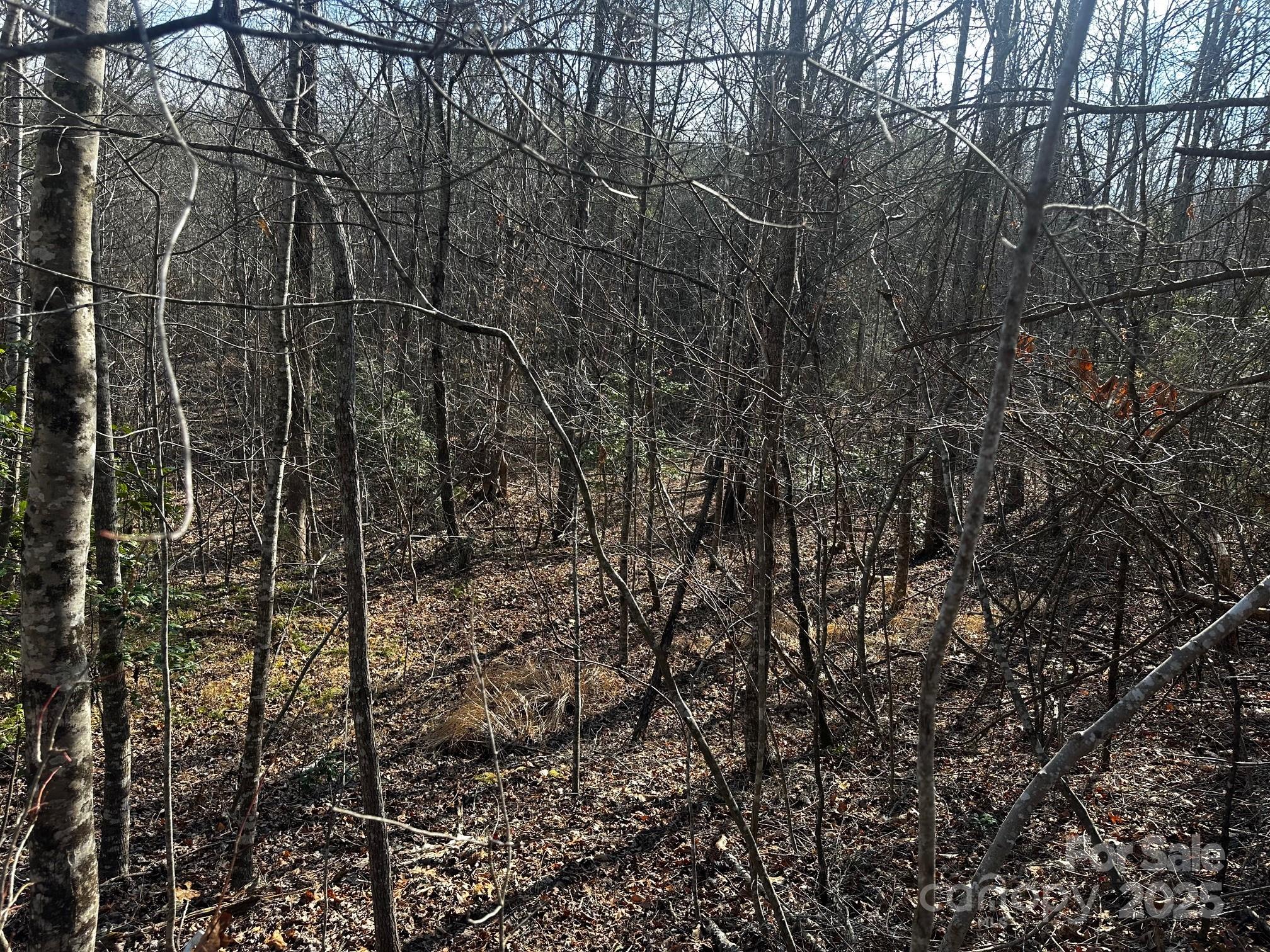 0 Grassy Knob Road Rutherfordton, NC 28139 - Photo 7 of 15