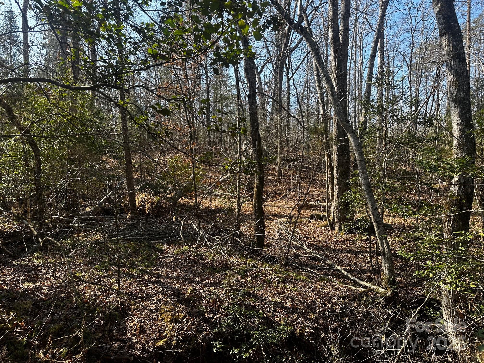 0 Grassy Knob Road Rutherfordton, NC 28139 - Photo 9 of 15