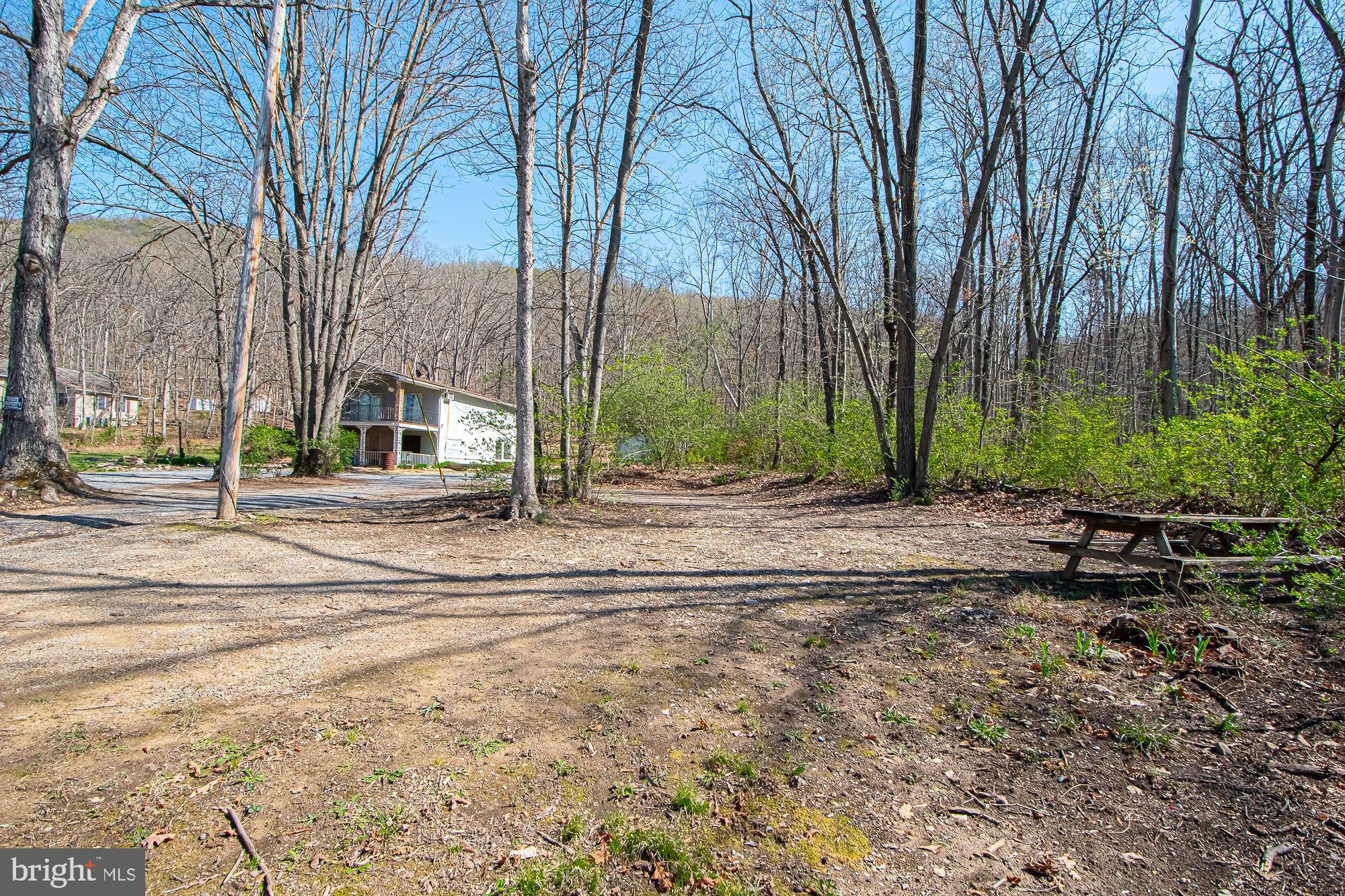4792 Howellsville Road Front Royal, VA 22630 - Photo 15 of 41 a view of street with large trees