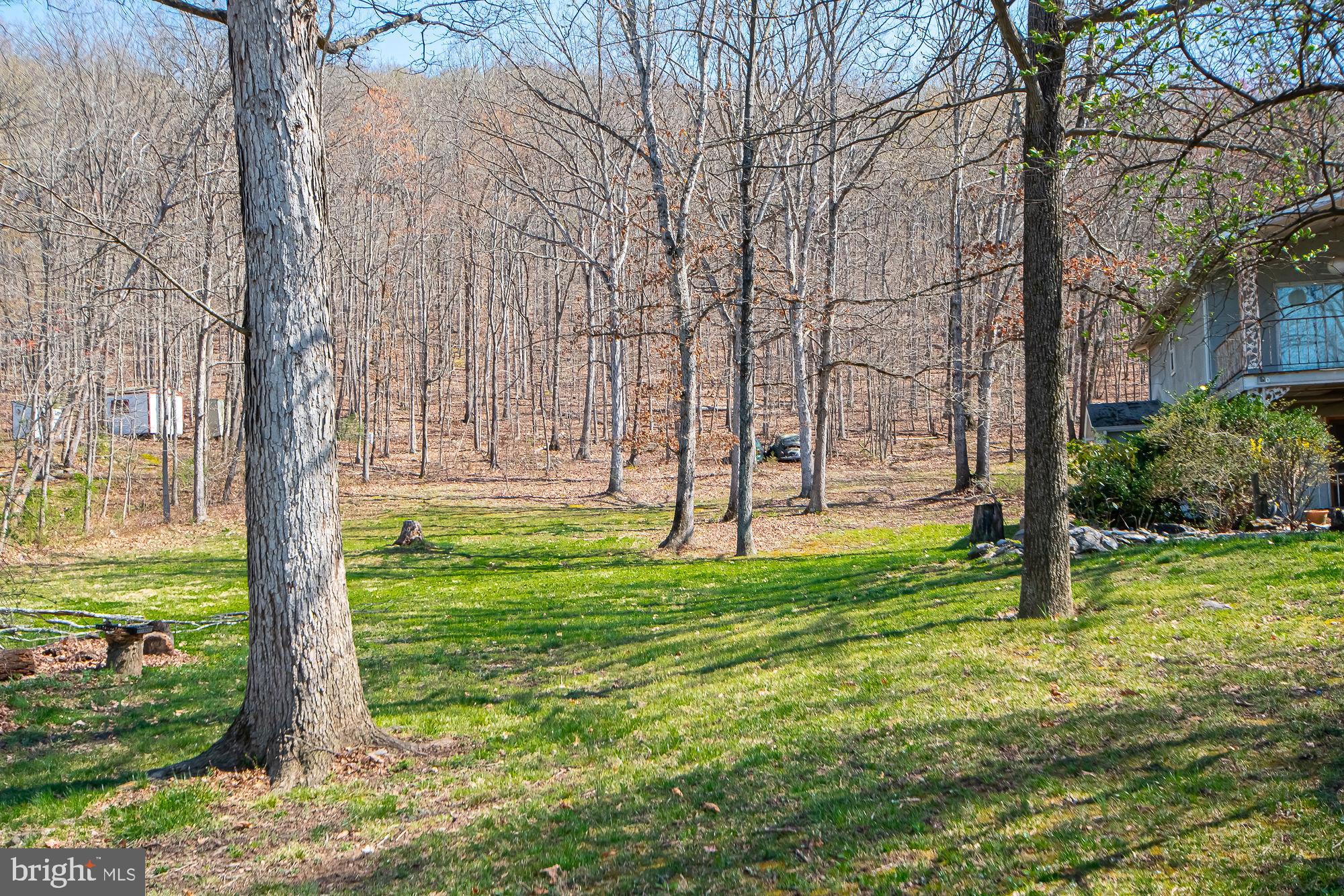 4792 Howellsville Road Front Royal, VA 22630 - Photo 8 of 41 a view of backyard with tree