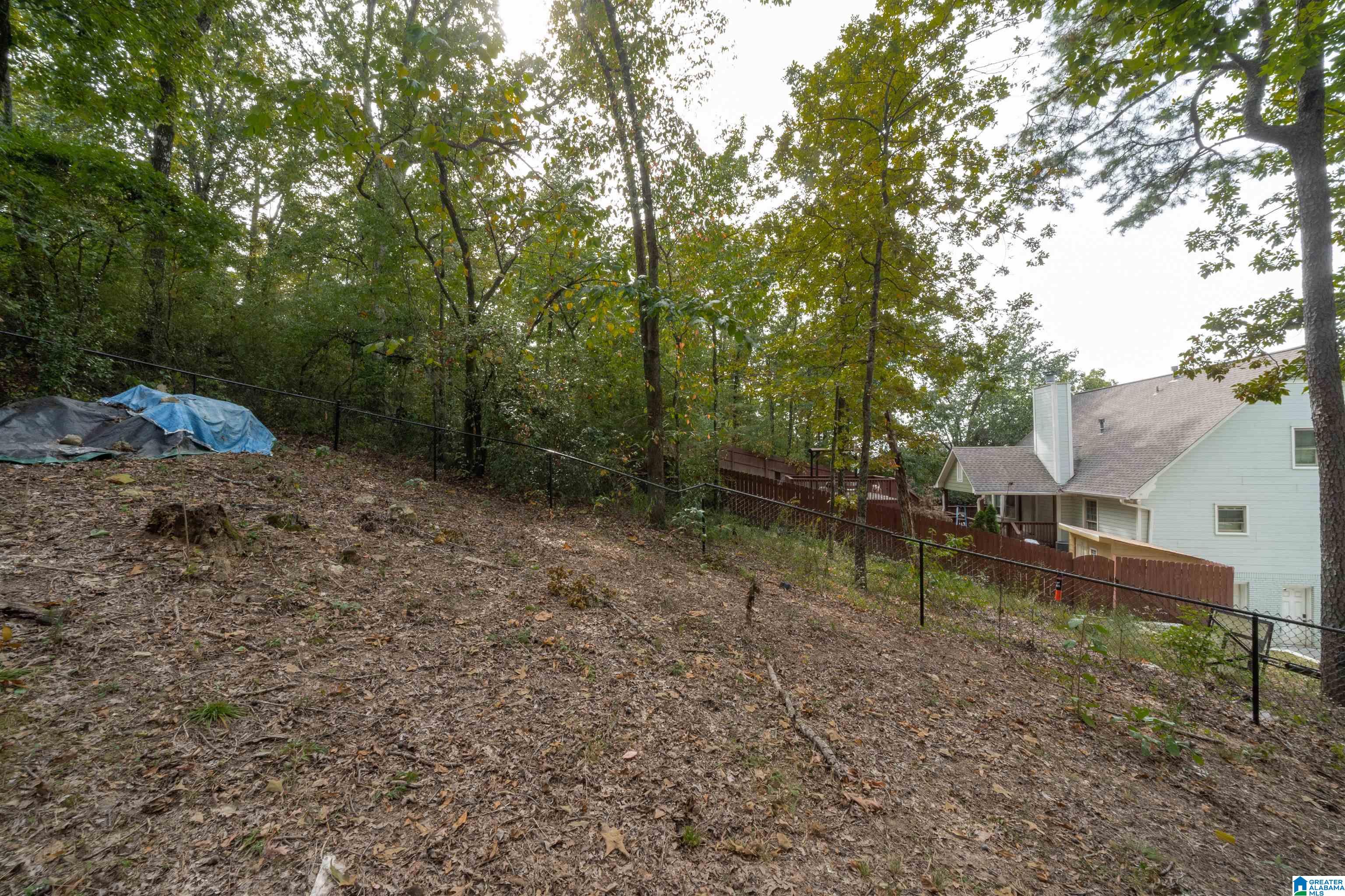 1700 Native Dancer Drive Helena, AL 35080 - Photo 56 of 64