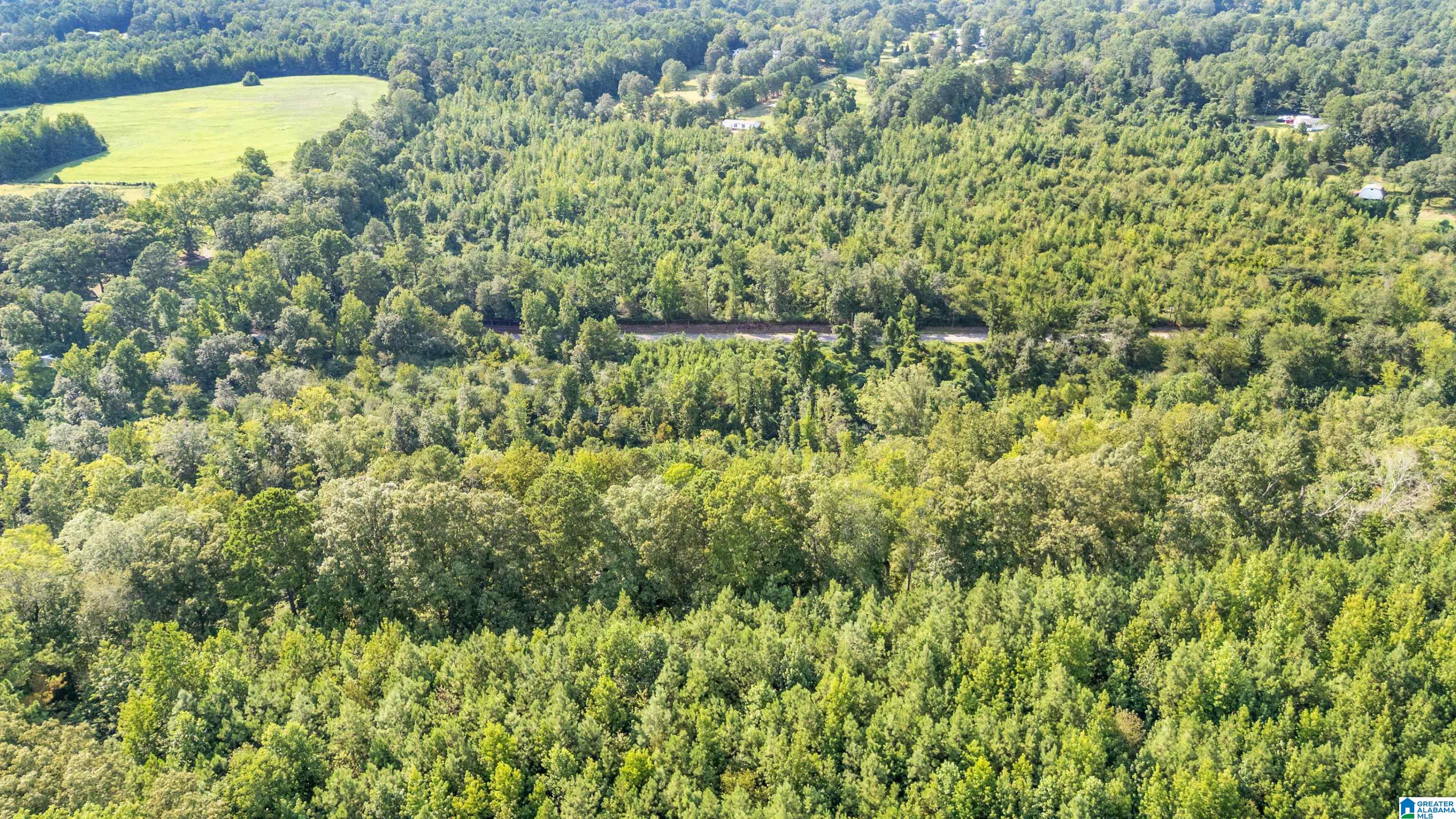 0 Warrior Jasper Road, Unit 23 AC Dora, AL 35062 - Photo 6 of 18