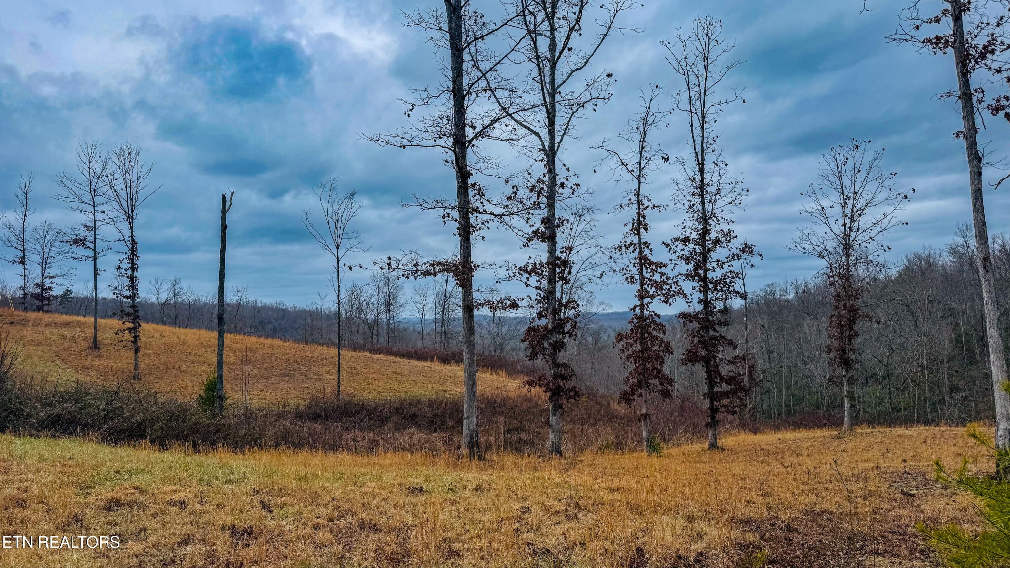 1682 Clifty Crk Road Winfield, TN 37892 - Photo 5 of 12 a view of a backyard of the house