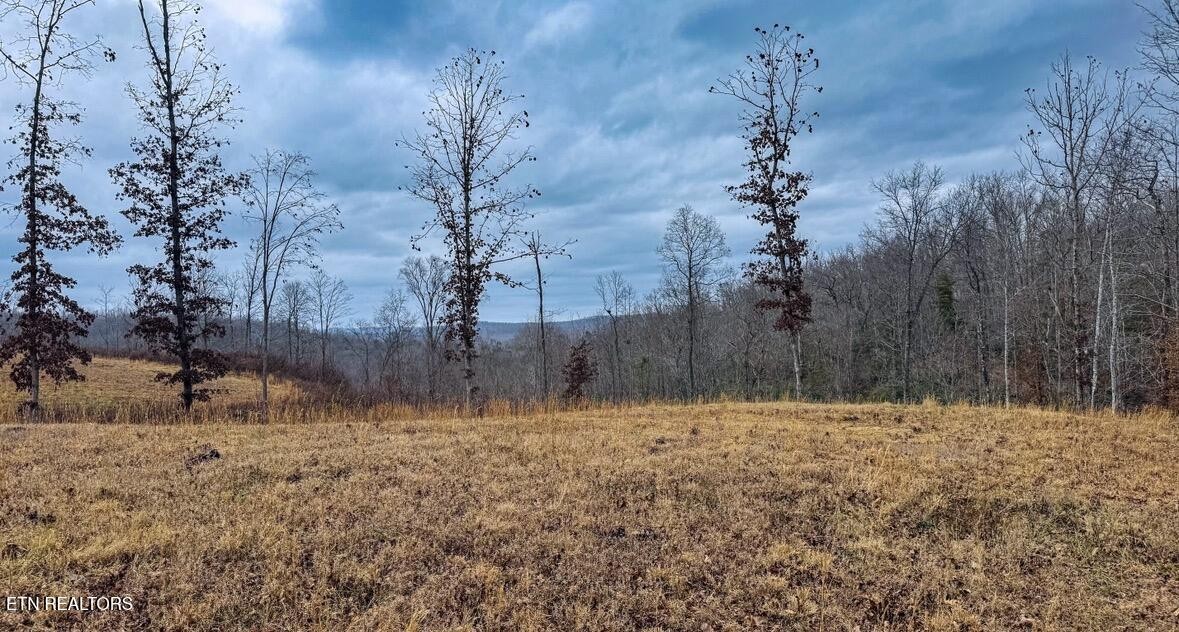 1682 Clifty Crk Road Winfield, TN 37892 - Photo 8 of 12 a view of a yard