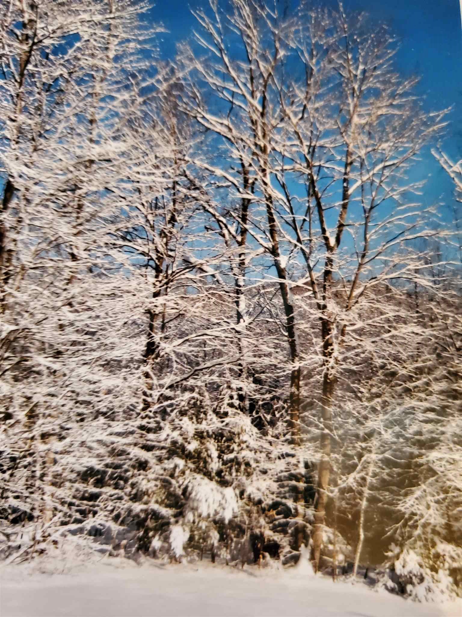 98 Darby Hill Road Rockingham, VT 05101 - Photo 27 of 28