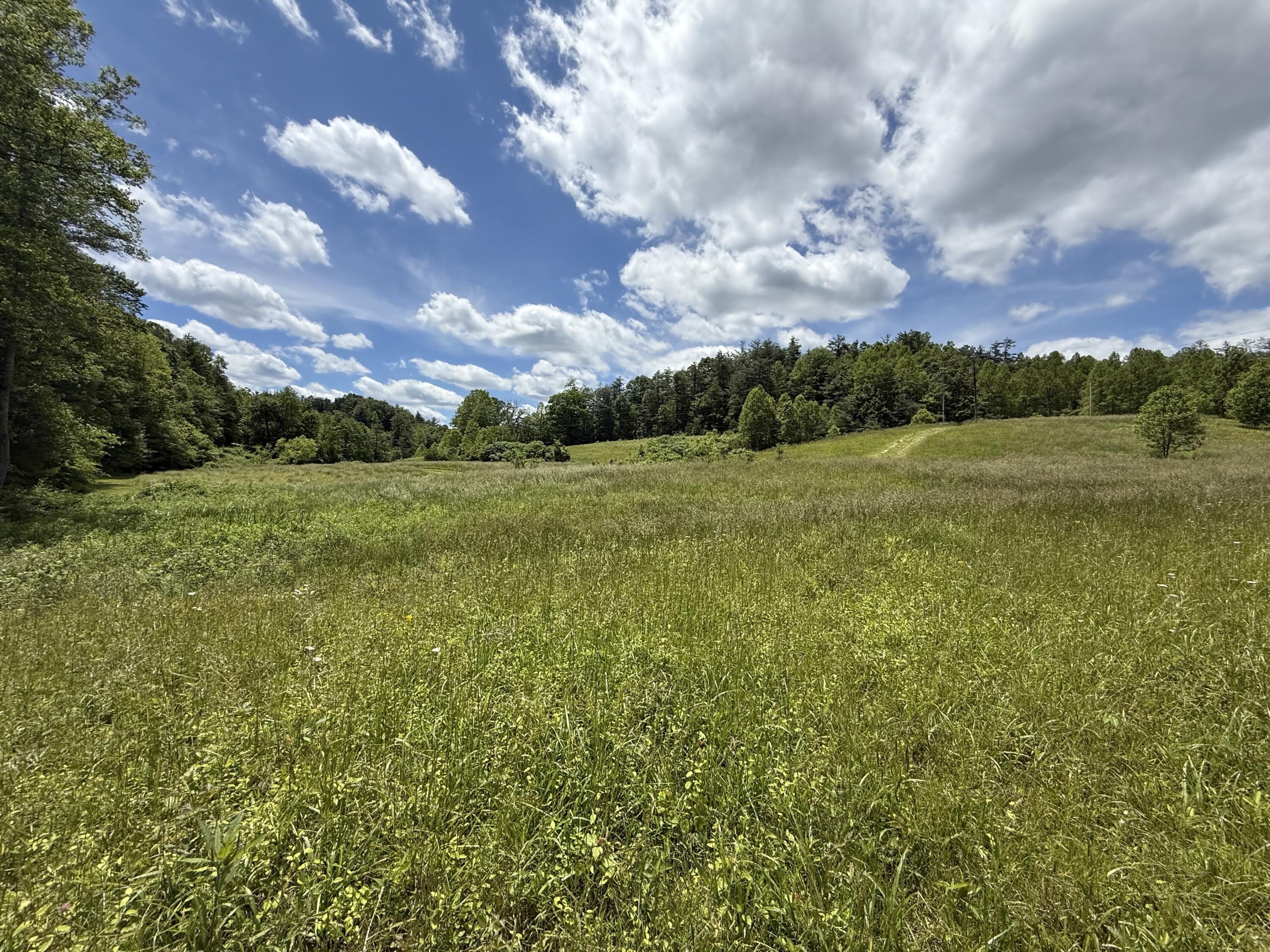 342 Dewey Banks Road Campton, KY 41301 - Photo 13 of 64 013 the gorgeous fields here are hard to