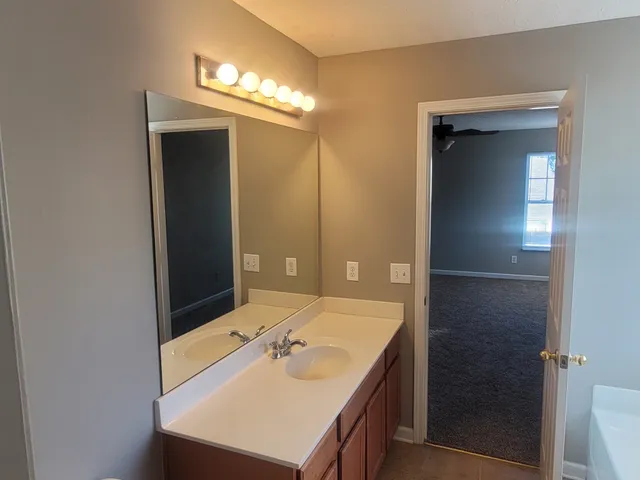 a bathroom with a sink vanity and a mirror