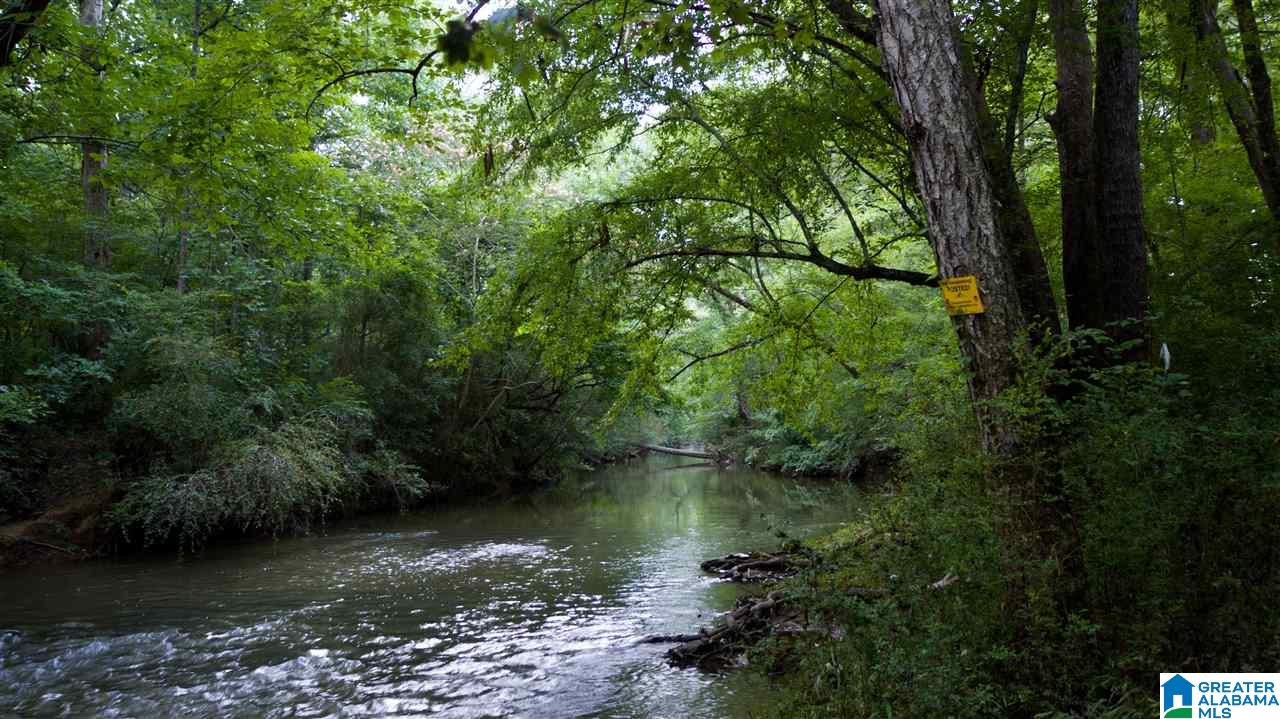 180 Gibson Road, Unit 76 / ACRES OFF GIBSON R Columbiana, AL 35051 - Photo 37 of 50