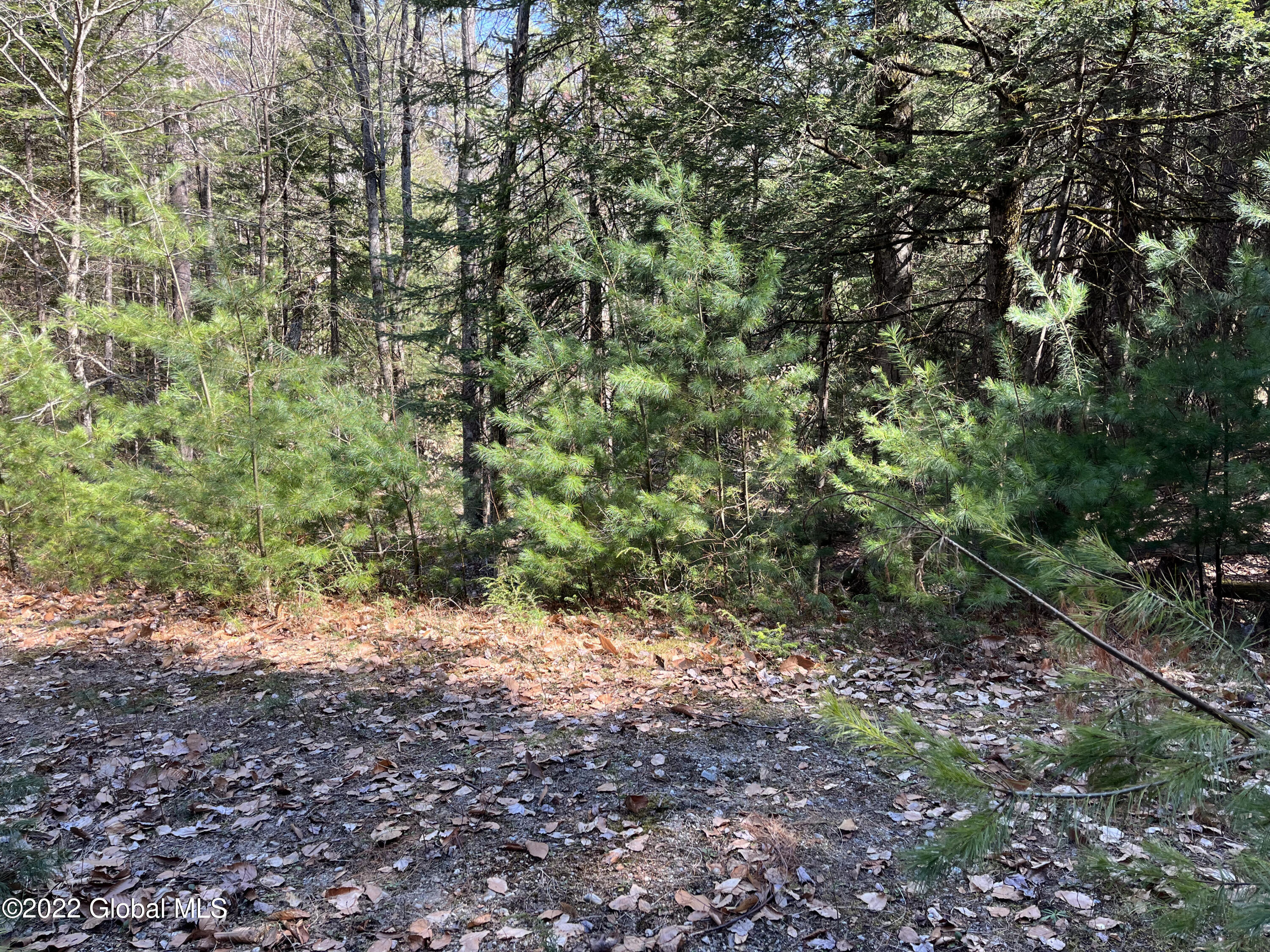 0 Echo Lane Road Chestertown, NY 12817 - Photo 2 of 6 IMG_0527