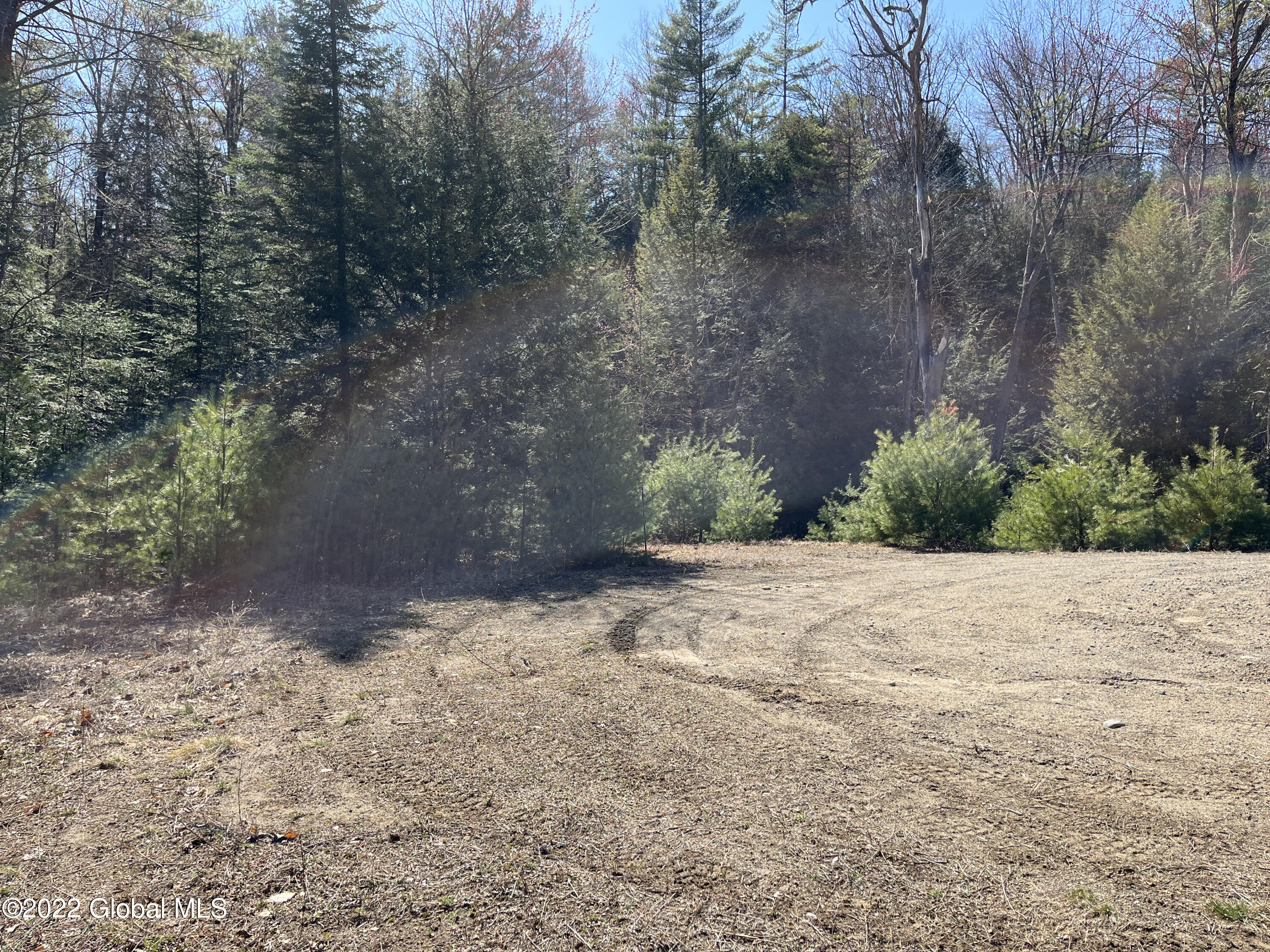 0 Echo Lane Road Chestertown, NY 12817 - Photo 5 of 6 IMG_0530