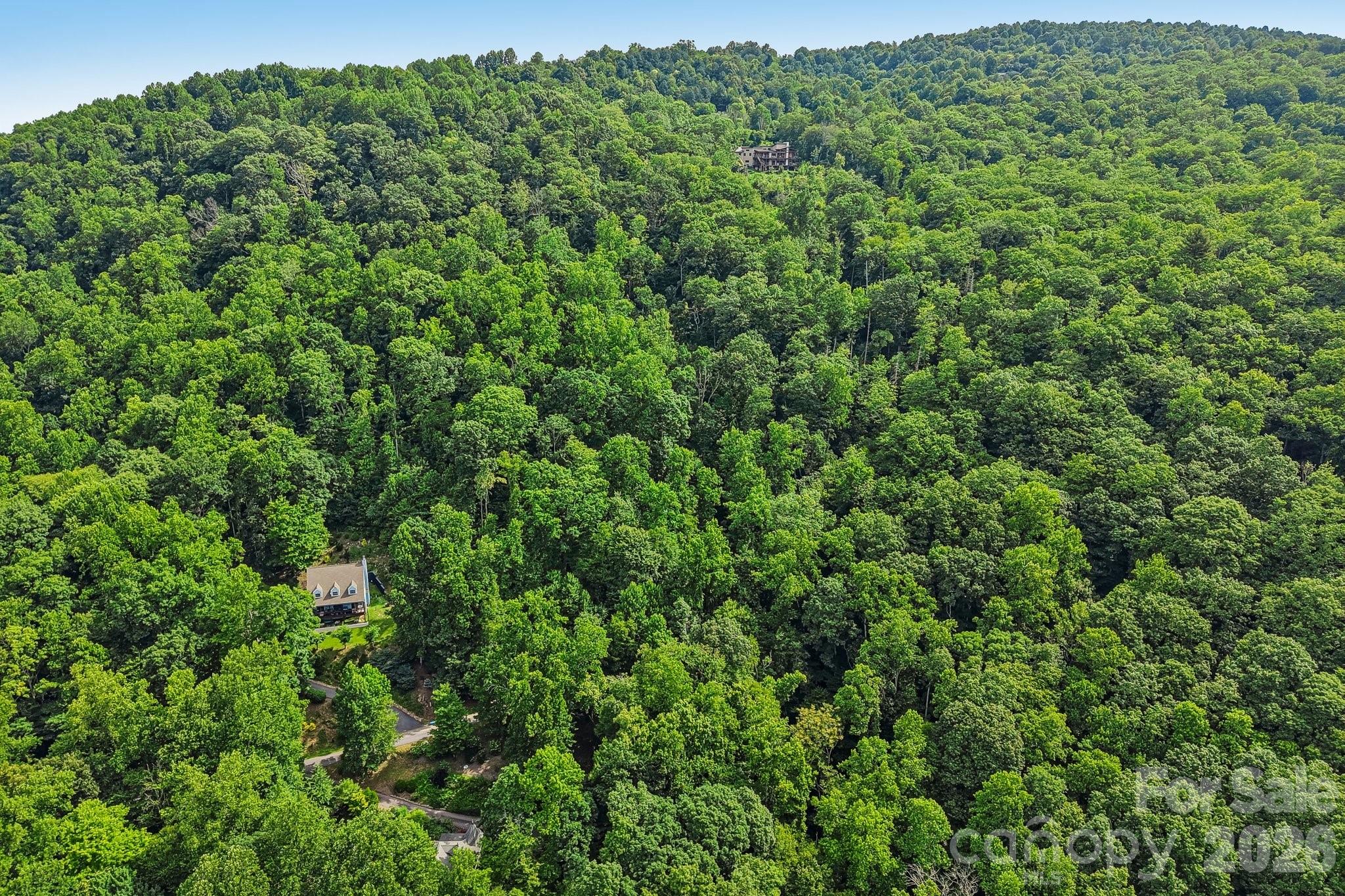 Tbd Indian Falls Road Asheville, NC 28803 - Photo 6 of 8