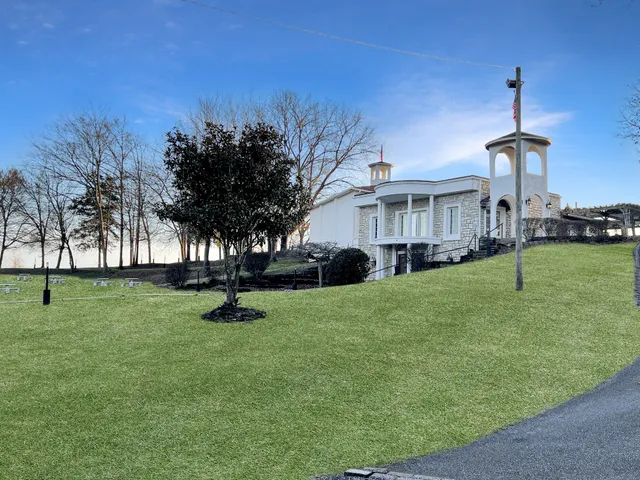 a park with lots of trees and plants