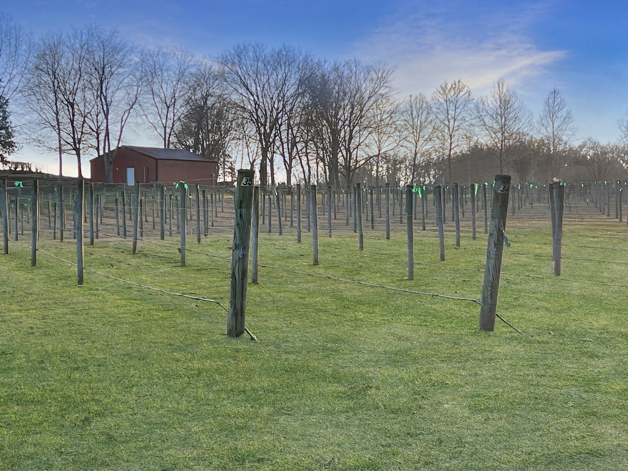 2982 Harvey Bowden Road Springville, TN 38256 - Photo 13 of 48 a view of a park with large trees