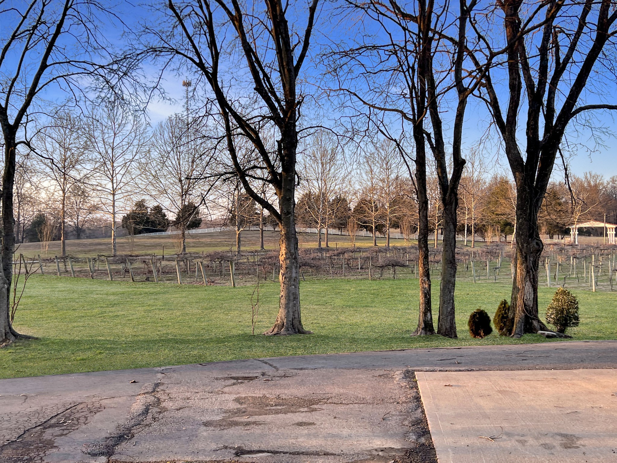 2982 Harvey Bowden Road Springville, TN 38256 - Photo 40 of 48 a view of a park with large trees