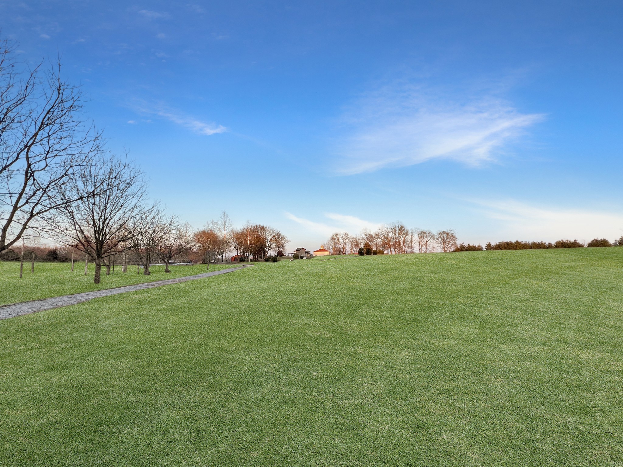 2982 Harvey Bowden Road Springville, TN 38256 - Photo 43 of 48 a view of an outdoor space and yard