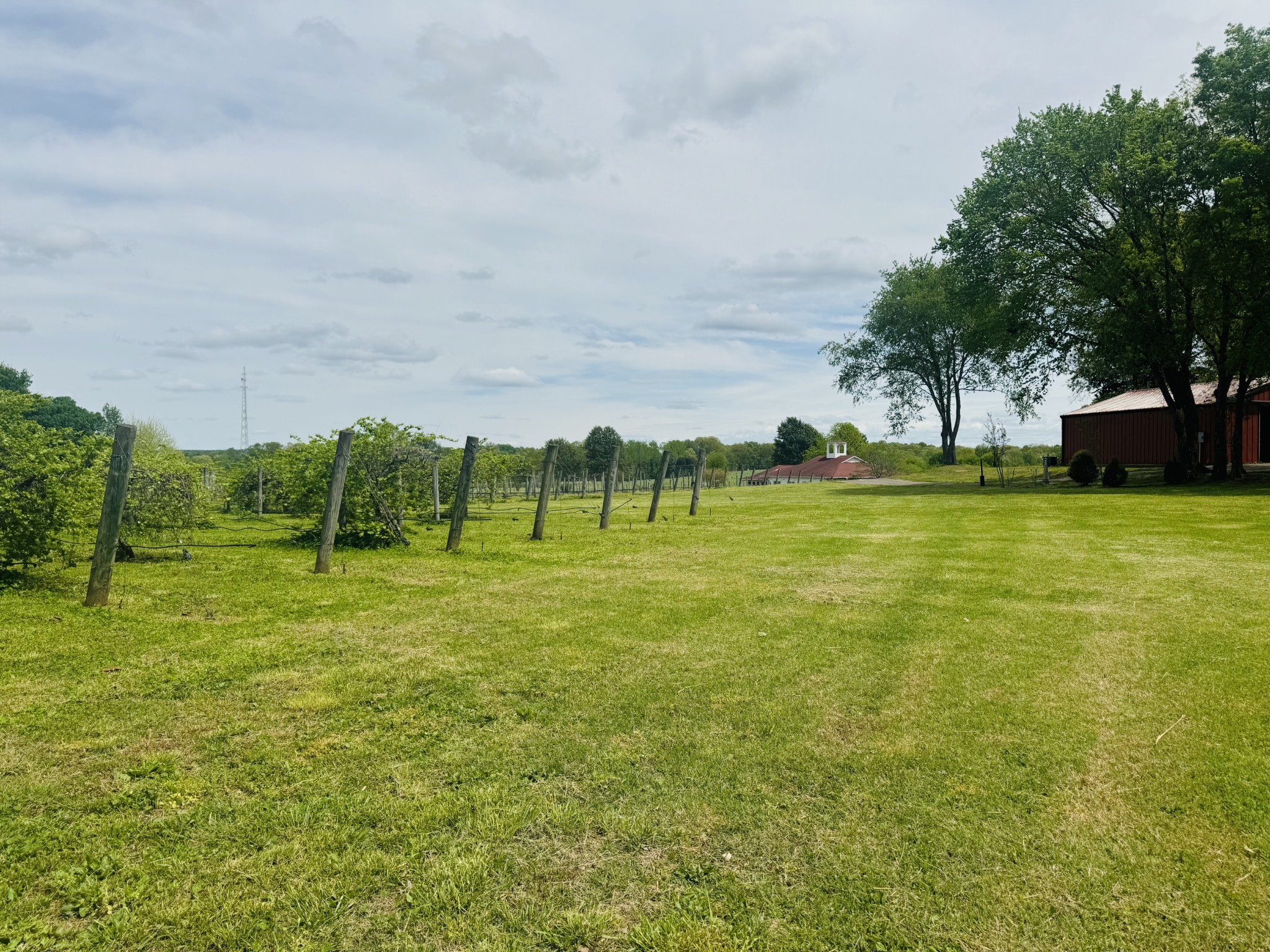 2982 Harvey Bowden Road Springville, TN 38256 - Photo 44 of 48 a view of an ocean view