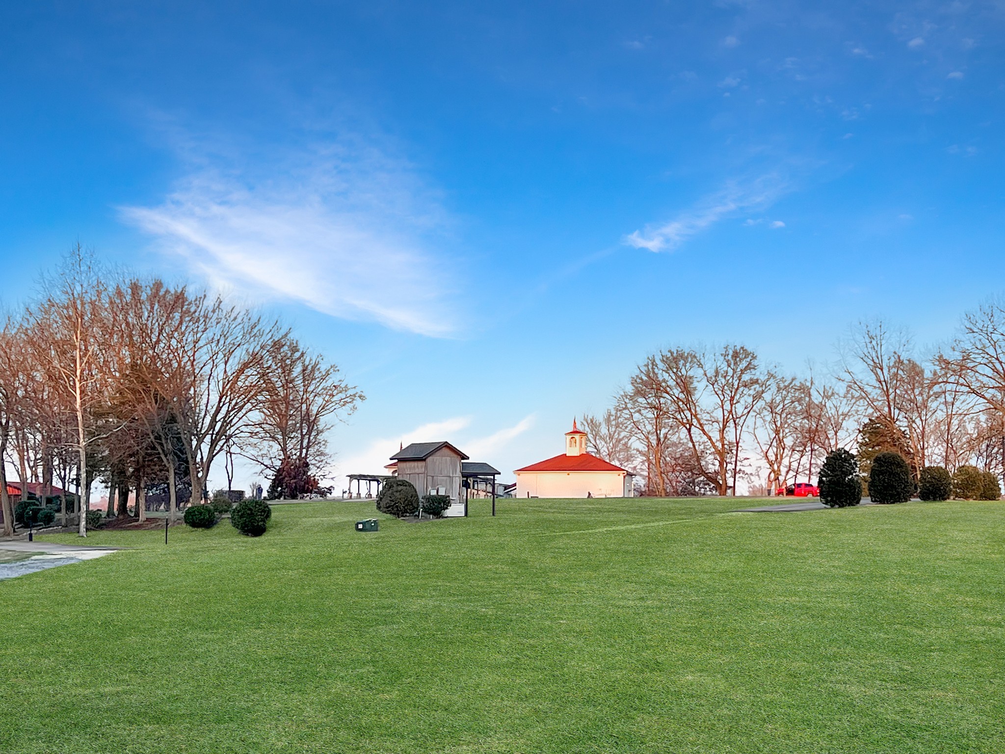2982 Harvey Bowden Road Springville, TN 38256 - Photo 9 of 48 a view of yard with trees and grass