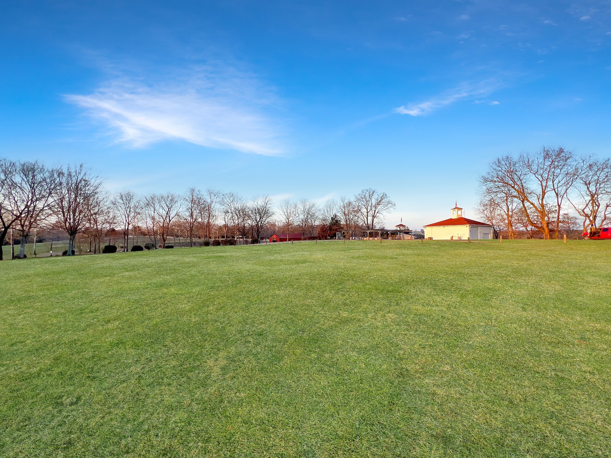 2982 Harvey Bowden Road Springville, TN 38256 - Photo 10 of 48 a view of yard with an trees and grass