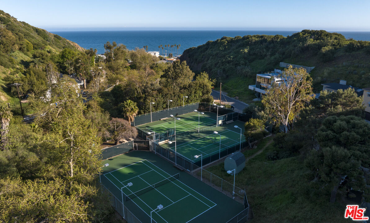 21344 Rambla Vista Malibu, CA 90265 - Photo 29 of 32 a view of a backyard
