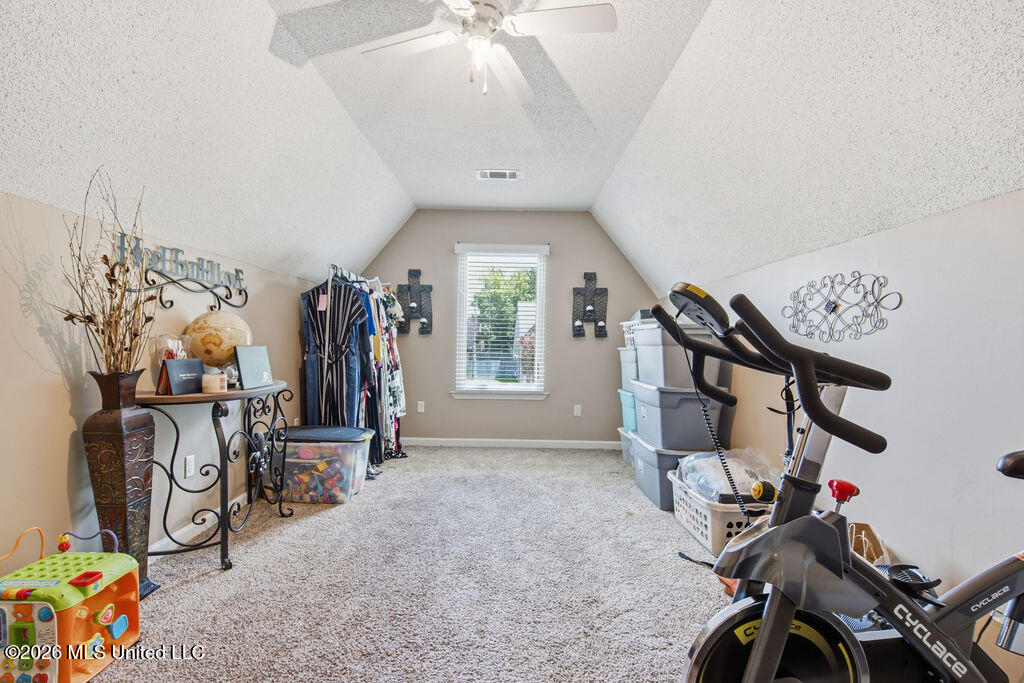 10739 Ridgefield Drive Olive Branch, MS 38654 - Photo 22 of 24 DSC09496