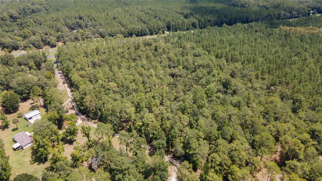 0 Southeast Hawthorne Road Hawthorne, FL 32640 - Photo 17 of 23