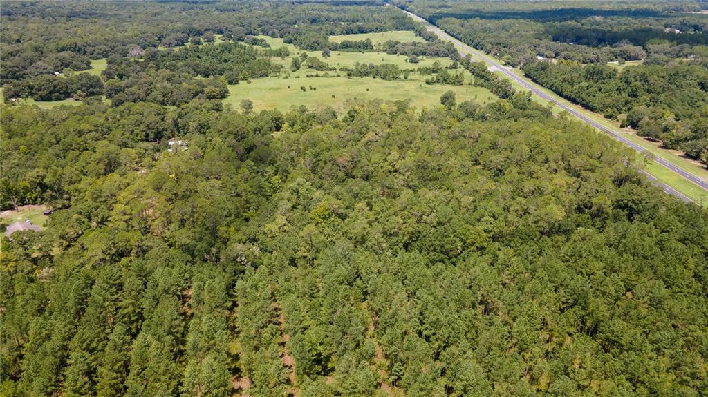 0 Southeast Hawthorne Road Hawthorne, FL 32640 - Photo 20 of 23