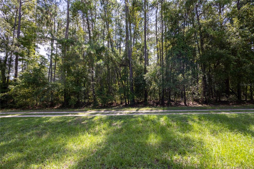 0 Southeast Hawthorne Road Hawthorne, FL 32640 - Photo 4 of 23