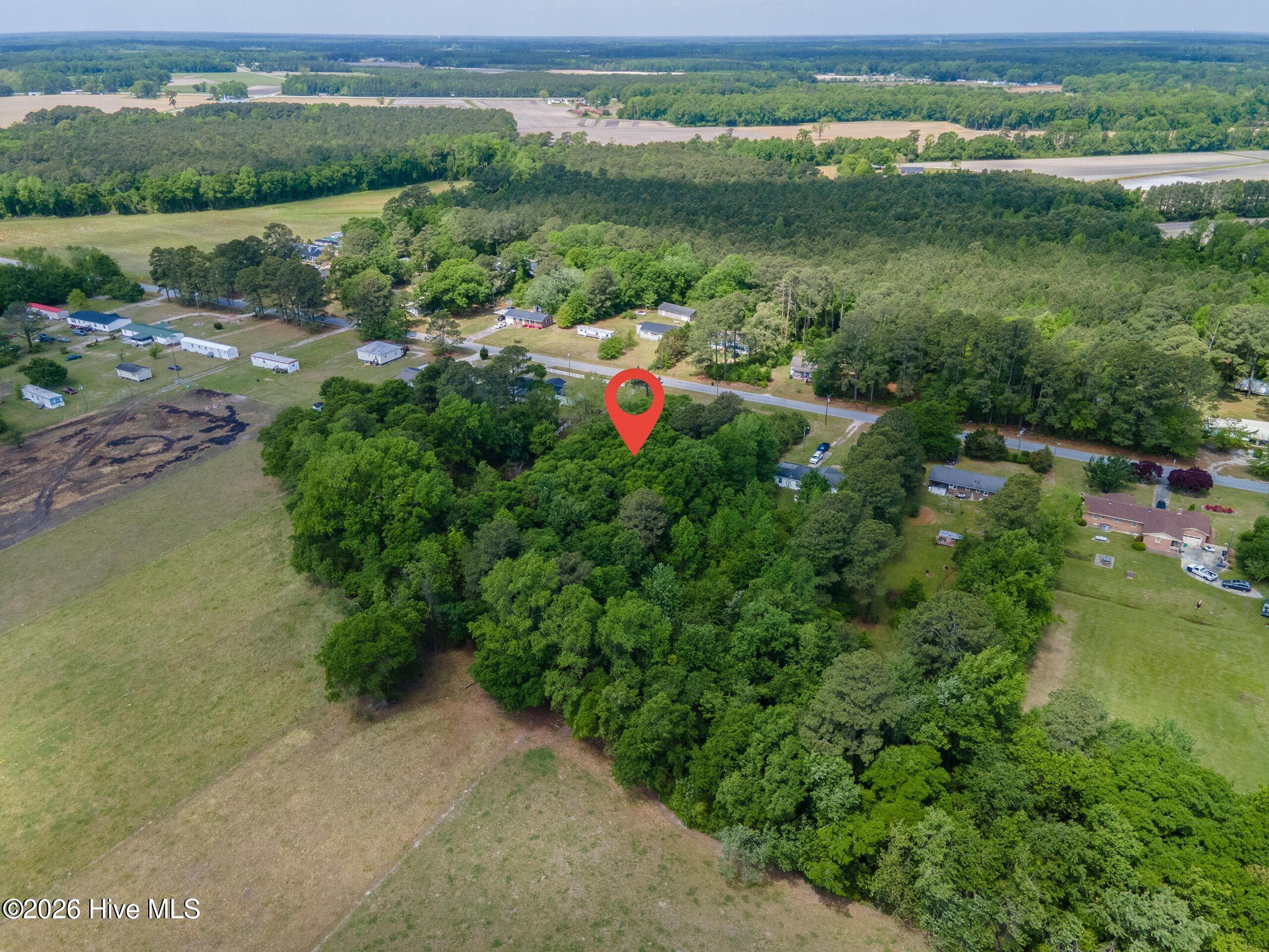 1807 Will Cunningham Road Deep Run, NC 28525 - Photo 6 of 9 6