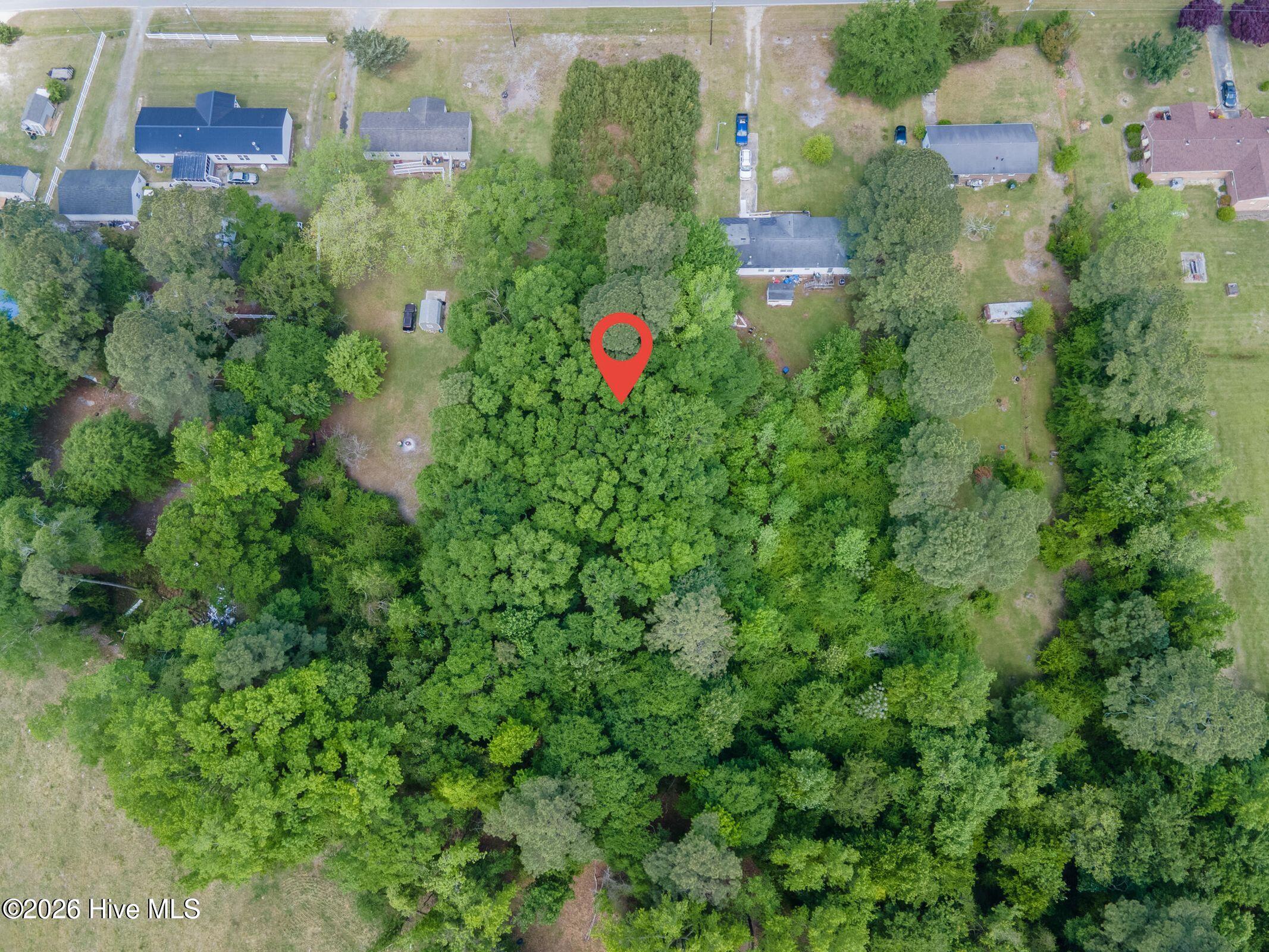 1807 Will Cunningham Road Deep Run, NC 28525 - Photo 7 of 9 7