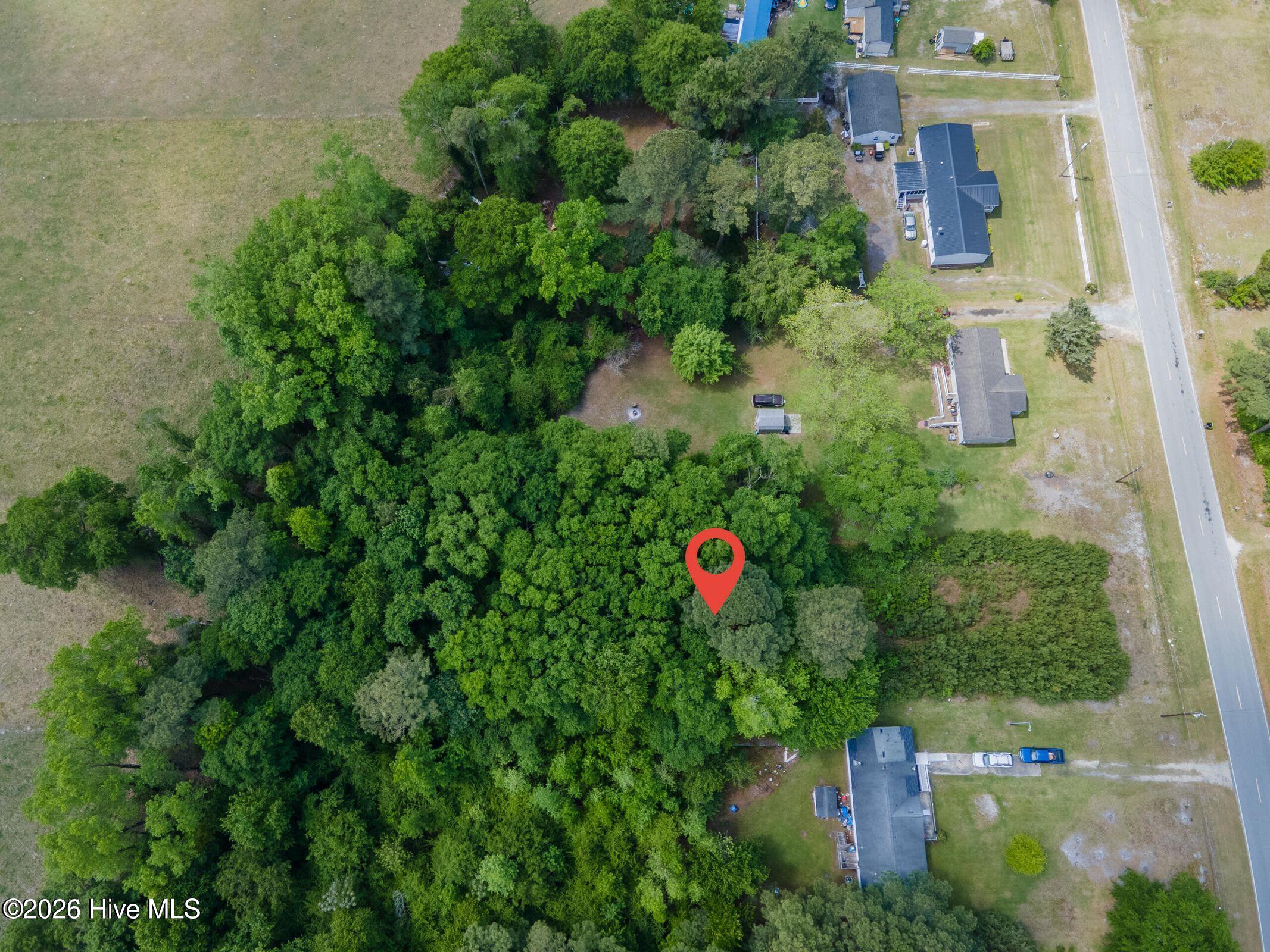 1807 Will Cunningham Road Deep Run, NC 28525 - Photo 8 of 9 8