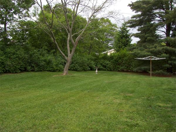 13 Michael Road Randolph, MA 02368 - Photo 7 of 15 Gallery Image 7