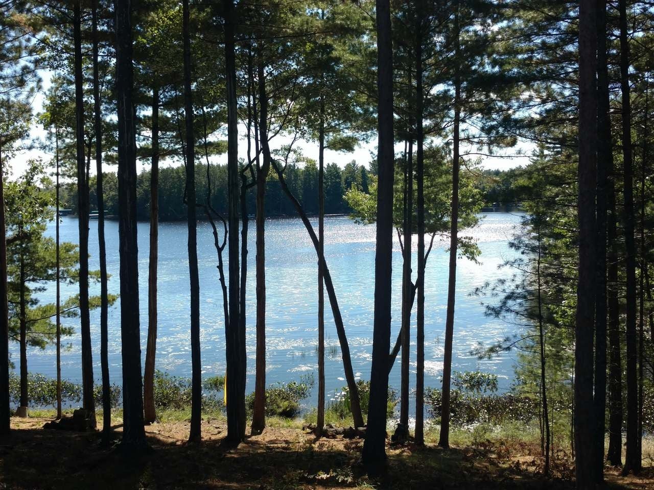 7328 Yanchus Road Three Lakes, WI 54562 - Photo 2 of 35 Gallery Image 2