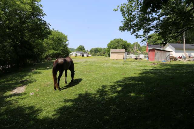 25 Sykes Road Hickman, TN 38567 - Photo 16 of 20 Plenty of fenced pasture area for you horses.