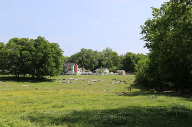 25 Sykes Road Hickman, TN 38567 - Photo 17 of 20 Another view of the pasture from the other side.