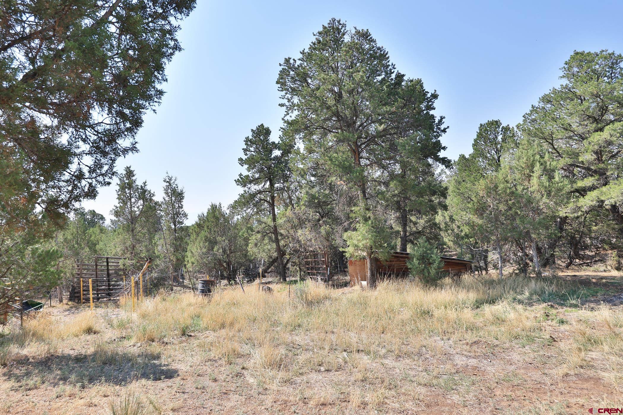 17394 58 6/10 Road Collbran, CO 81624 - Photo 21 of 22 Gallery Image 21
