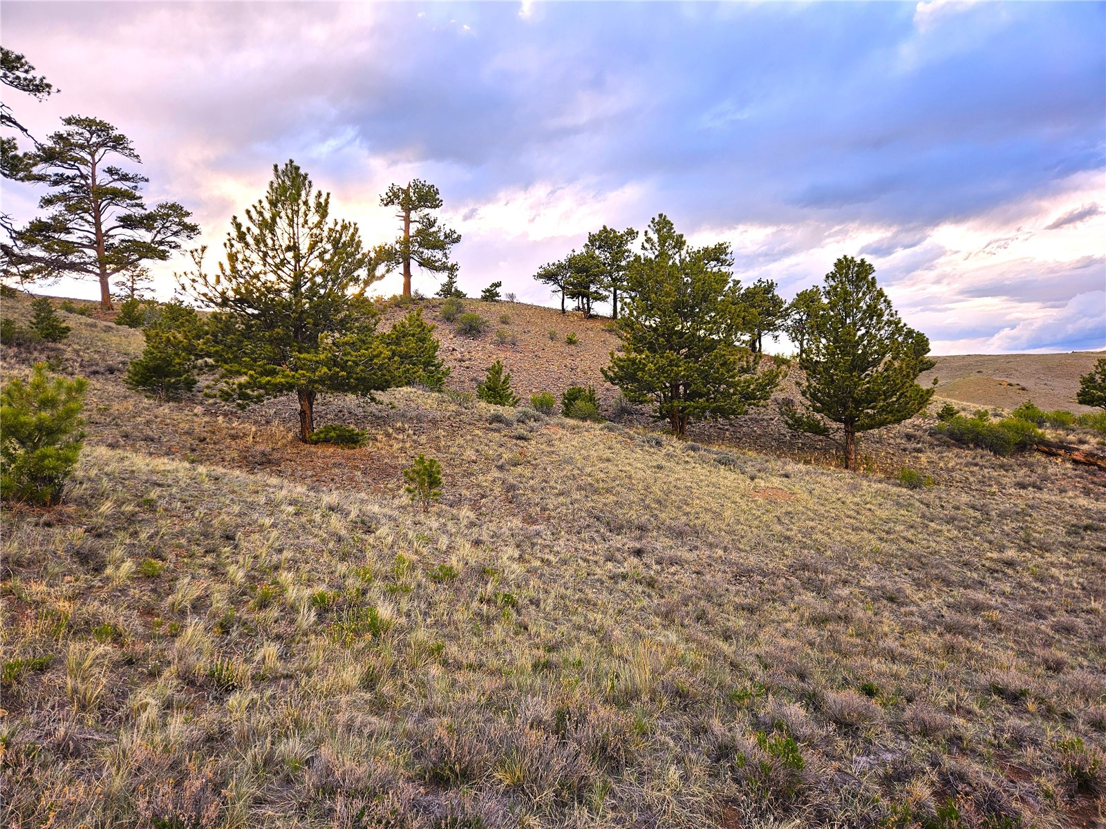 Pcs#25427 Yuma Road Hartsel, CO 80449 - Photo 6 of 29