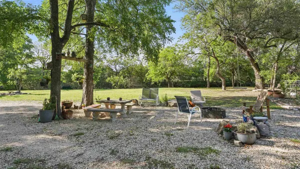 a view of a tree in a park