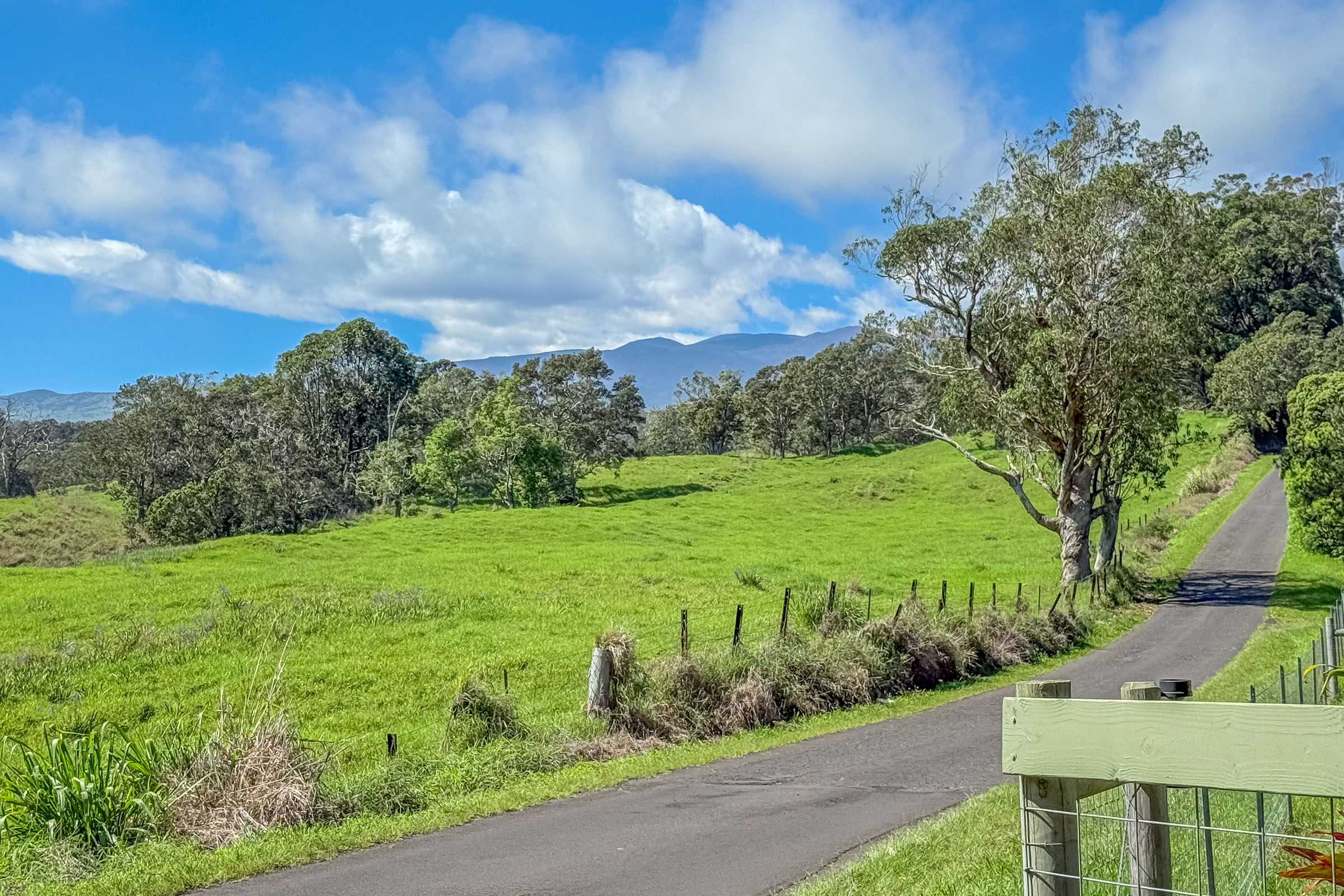 43-2114 Pohakea Mauka Road Paauilo, HI 96776 - Photo 27 of 30 a view of a garden with an outdoor space