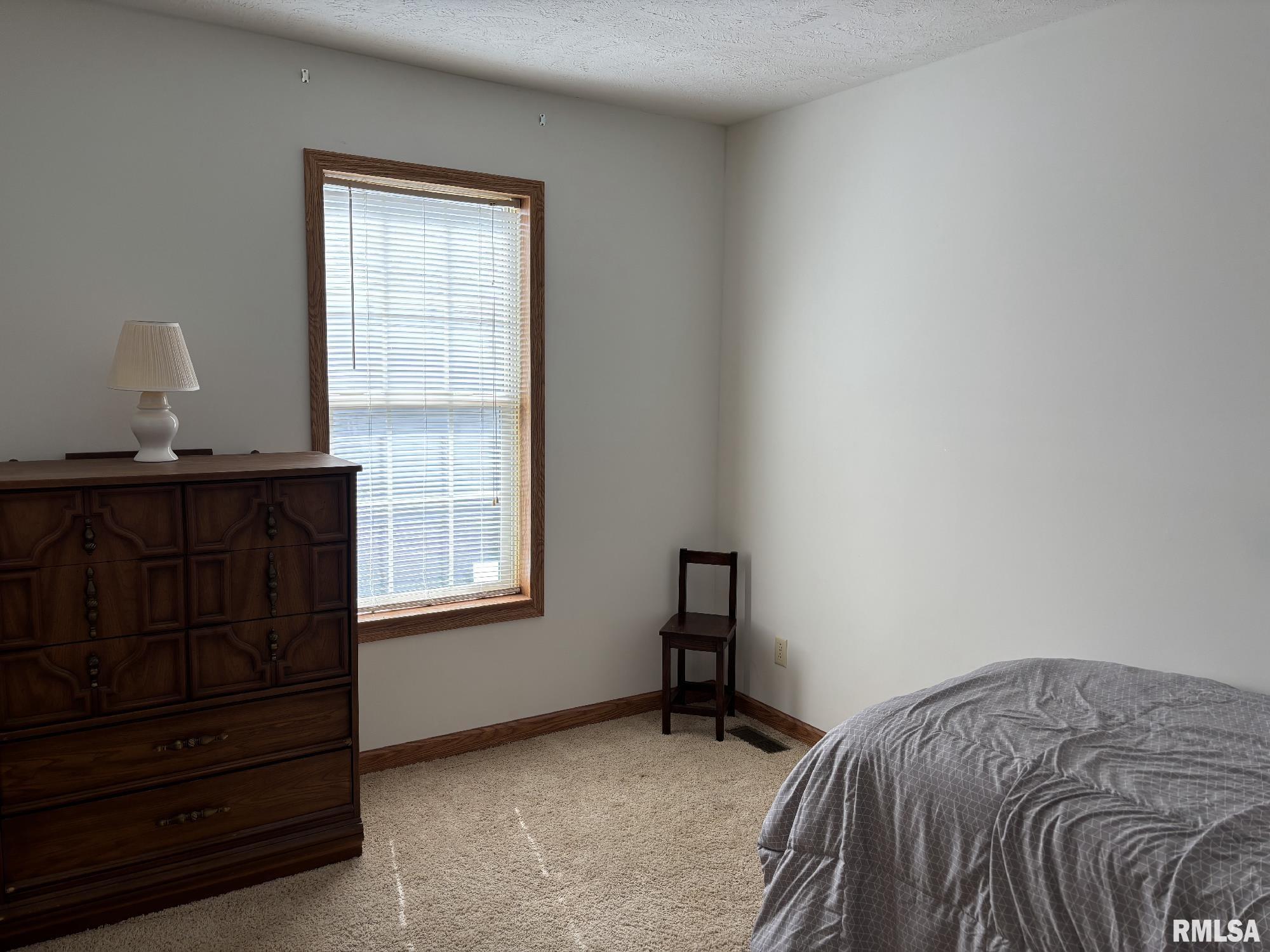 2800 Vía Rosso, Unit 135 Springfield, IL 62703 - Photo 17 of 28