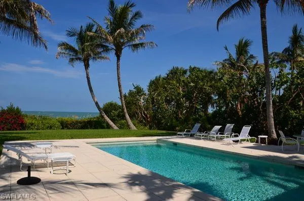 a view of a park with palm trees