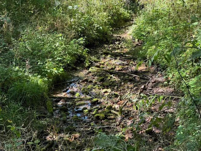 $99,000 | Lot 10 Murphy Road, Mineral Point, WI 53565